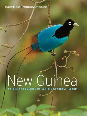 cover image of New Guinea